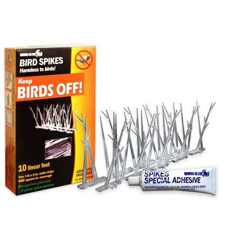 Bird spikes are used on ledges, pipes, beams or any flat surface where birds land and roost. Each strip is two-feet long and protects up to a 6 In. wide surface. Easy installed with construction glue. 100 total feet per box. Bird spikes are immediately an effective, harmless and humane way to repel birds. 
